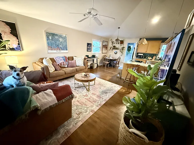 245 Pine Needle Rd — Photo 3