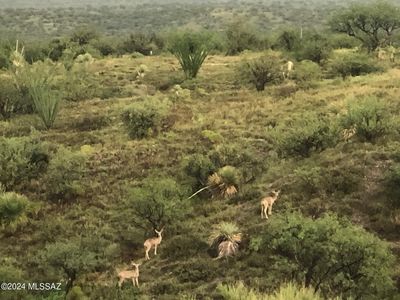 S Moyza Ranch Rd, Amado, AZ, 85645