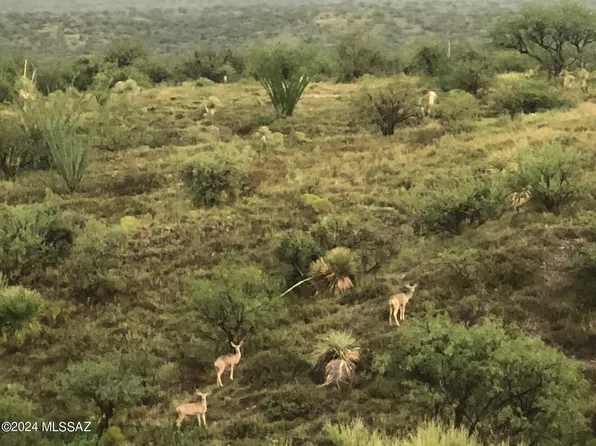 S Moyza Ranch Rd, Amado, AZ 85645