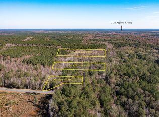 1 Dennis Britt Rd, Saint George, SC 29477