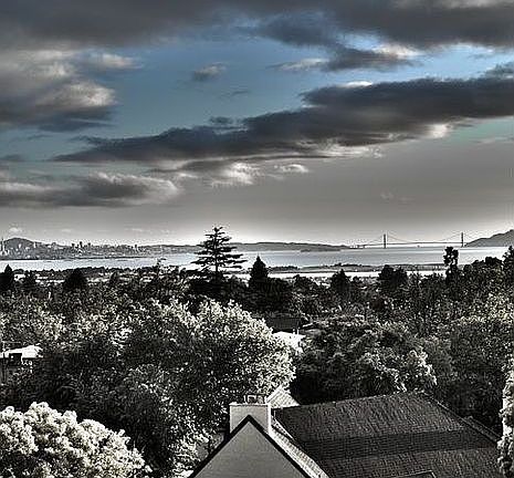 The View