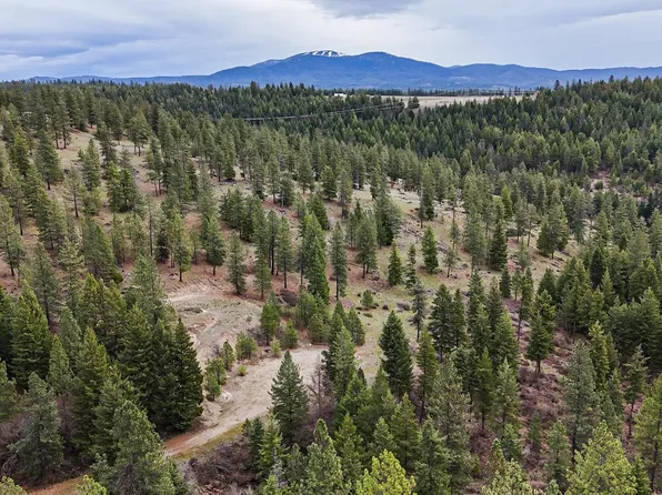 LOT 29 E Barbi Ct, Chattaroy, WA 99003