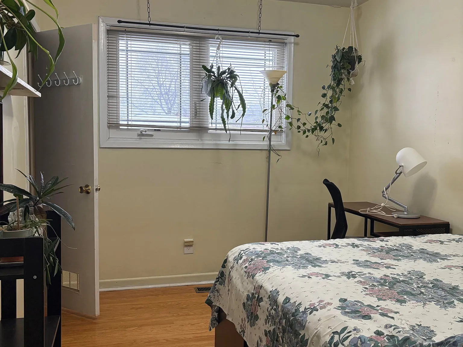 1 bed, $800 — Photo 1