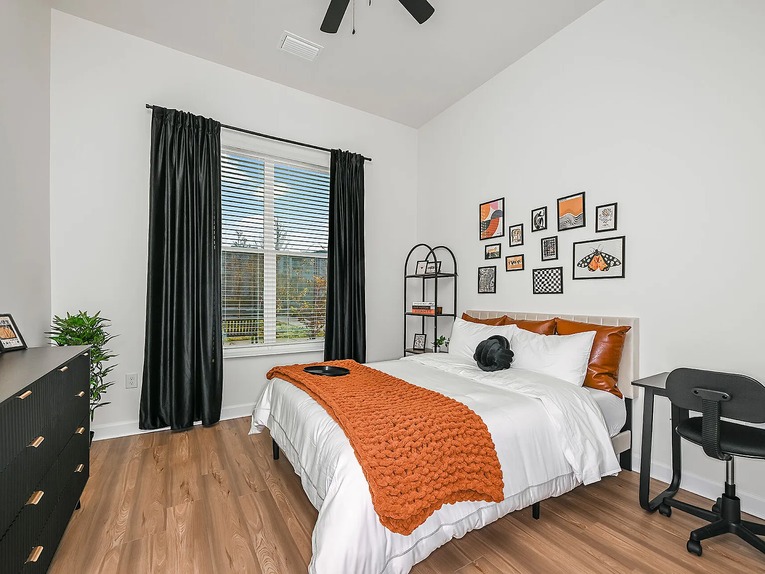 Apollo Apartments — Photo 4