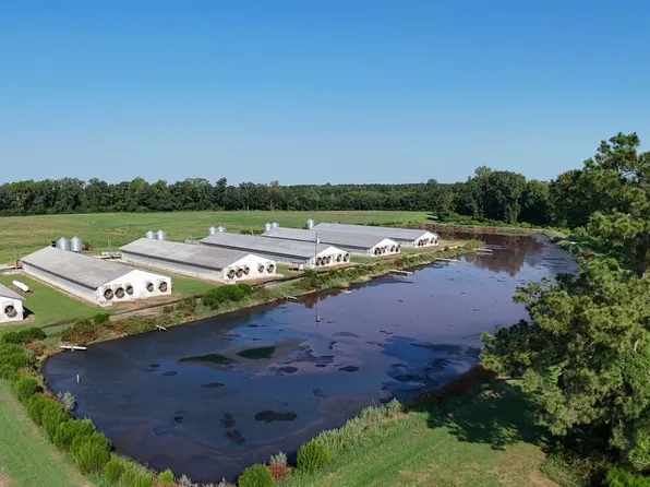 Call Agent For Details Two Separate Locations, Dover, NC 28556