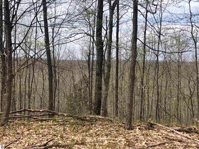 80 Yates Rd, Copemish, MI, 49625