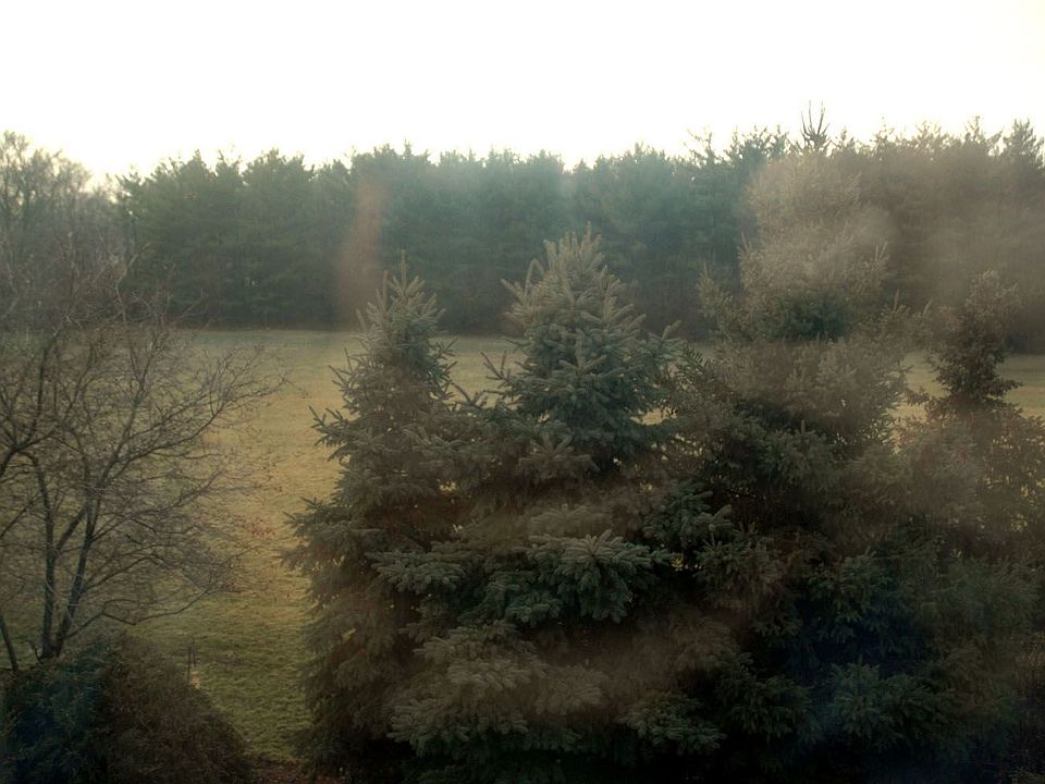 view from master bedroom