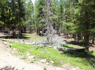 6731 Turkey Gulch Rd #15673, Idaho Springs, CO 80452