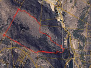 Coles Clove Rd, Delancey, NY 13752