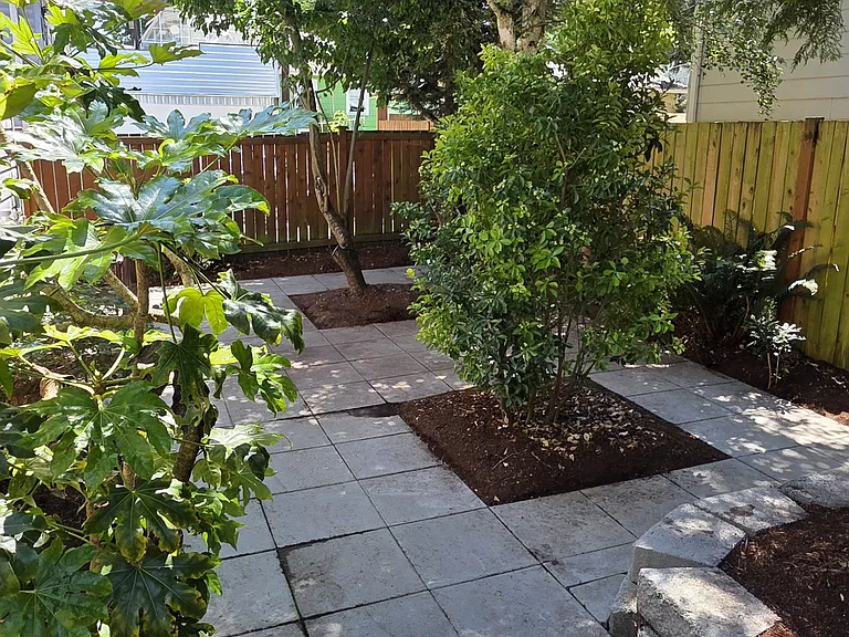 Backyard / Patio