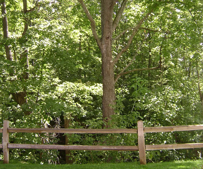 2867 Arboretum Village Trl — Photo 5