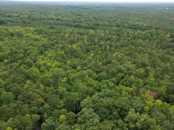 0 Roosevelt Hwy, Warm Springs, GA 31830