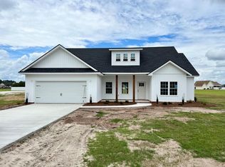 1329 Whitney Lake Rd, Blackshear, GA 31516