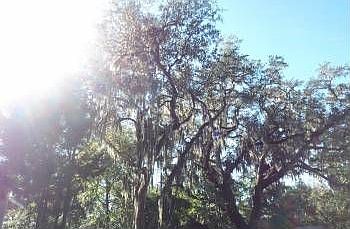 1st image of 1286 W Us Highway 90