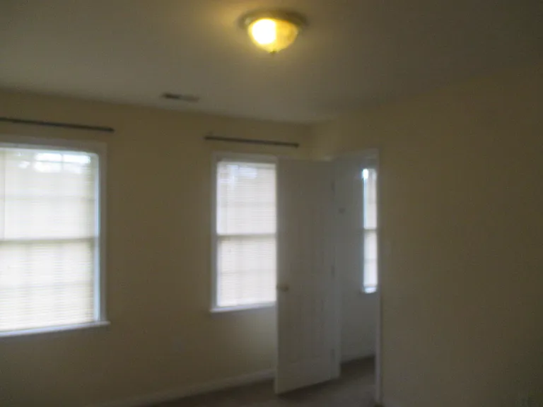 11420 Avery Green Ct — Photo 5