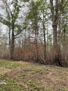 0 John King Rd, Ragley, LA, 70657