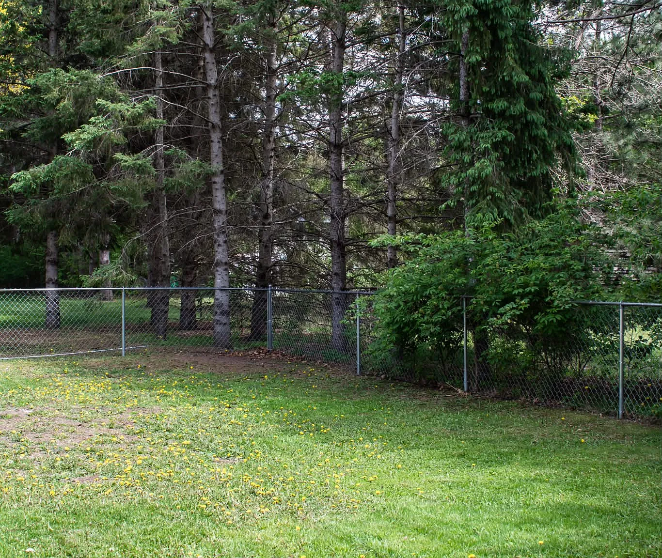 3 bed, 1900 sqft, $2,600 — Photo 3