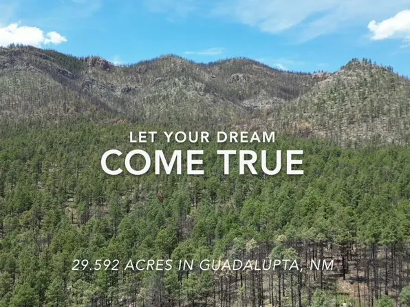 Behind1161 Nm #434, Mora, NM 87732