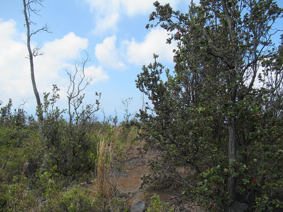2nd image of Ocean View Pkwy Lot 7