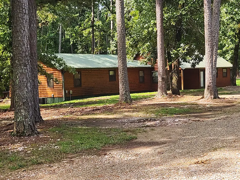Large trees on 1.3 acre lot.