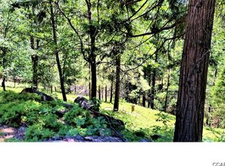 1743 Patricia Ln, Arnold, CA 95223