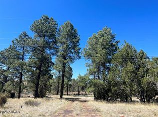 3164 Tonto Dr #10, Overgaard, AZ 85933