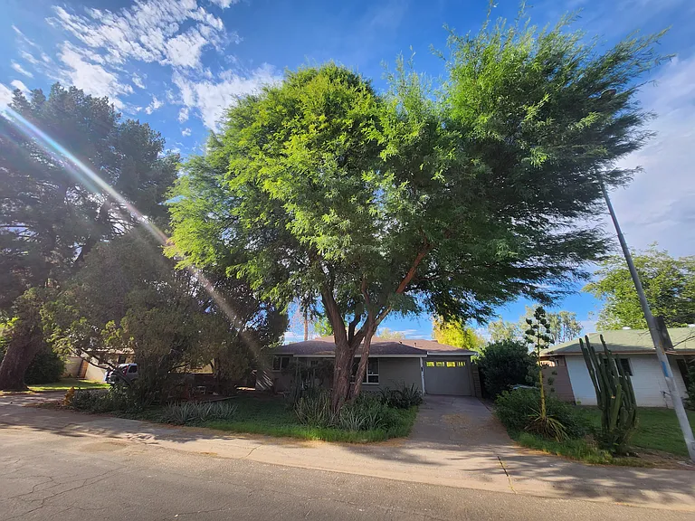 1519 E Cedar St — Photo 22