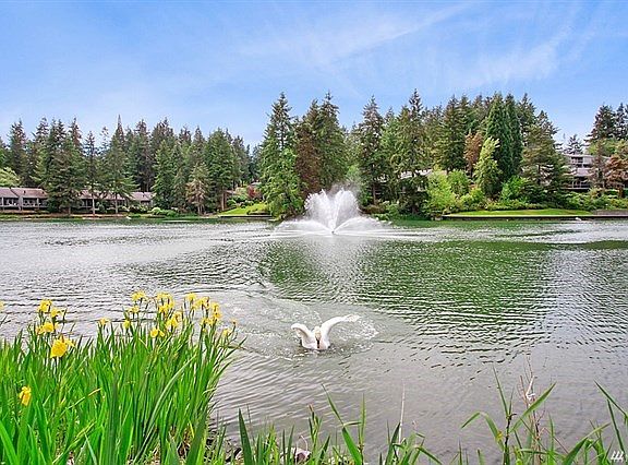 Unit 721 is a lakefront unit in the Northlake Building. Watch, ducks, Canadian geese, carp and other wildlife from your 2 private decks. Covered parking, abundant guest parking, secure storage unit, elevator and laundry facility on site.