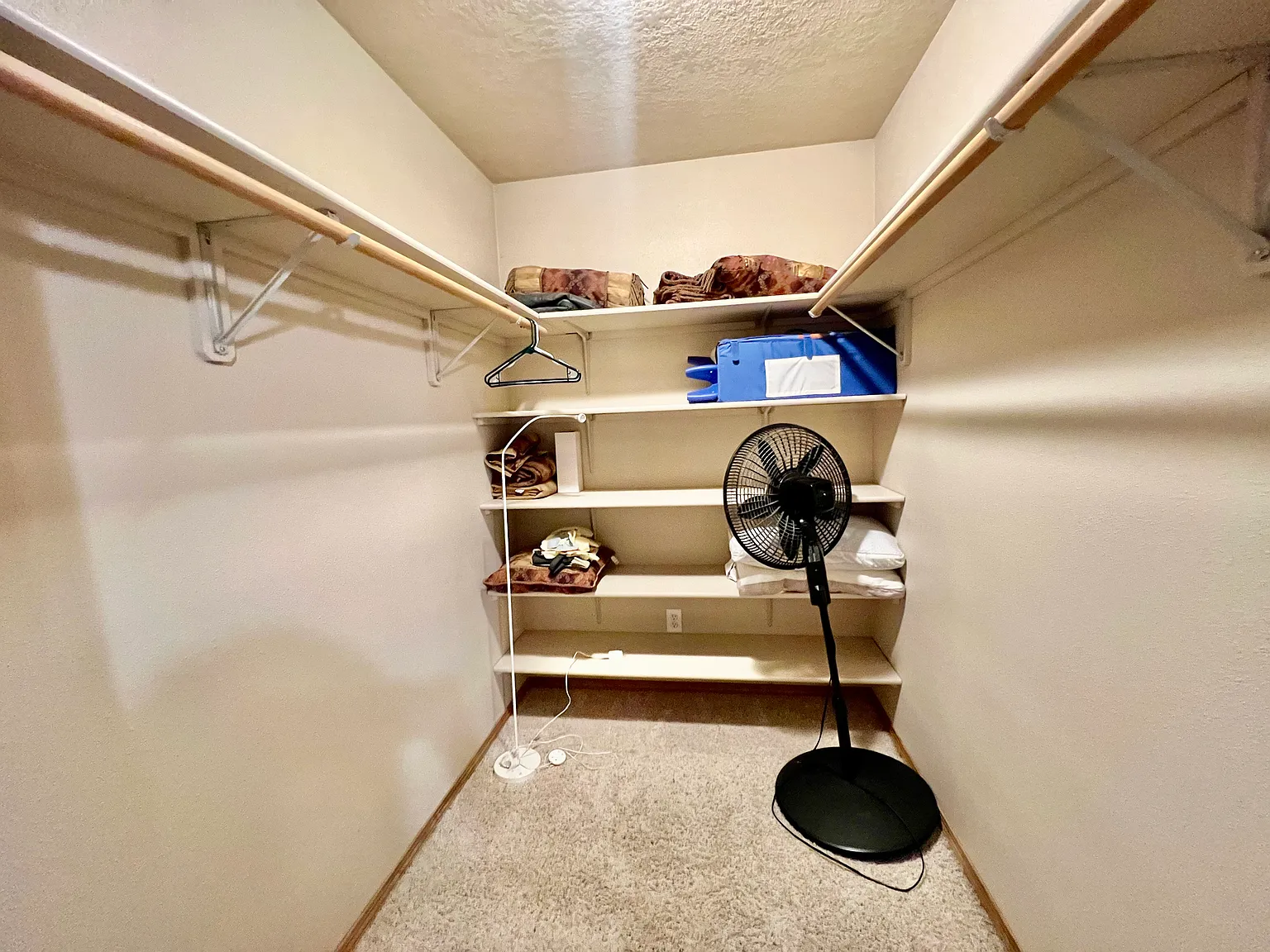 3 bed, 1100 sqft, $1,850 — Photo 4