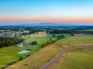 39 Meadow Vista Way, White Pine, TN 37890