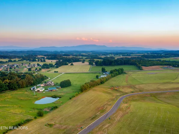 39 Meadow Vista Way, White Pine, TN 37890