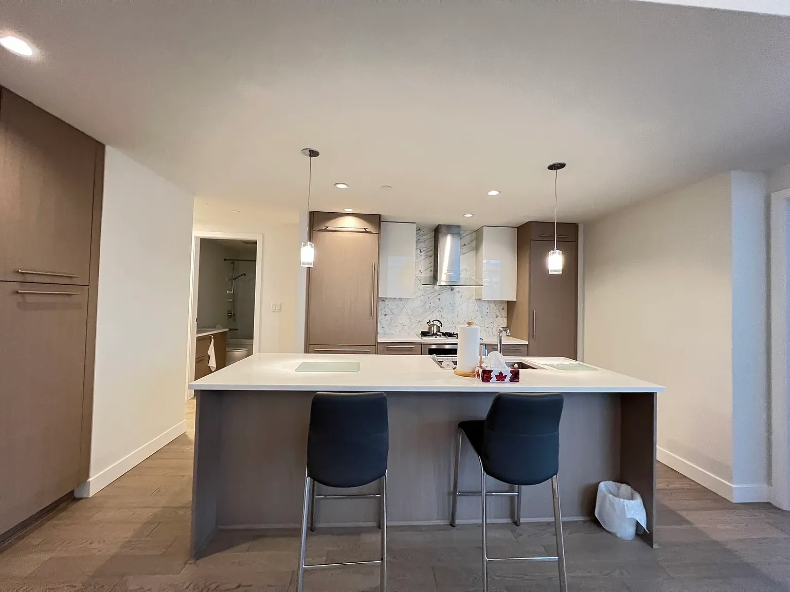 677 W 41st Ave #108 photo 1