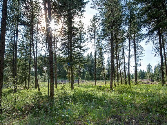 3rd image of Whitebark Ln Lot 60