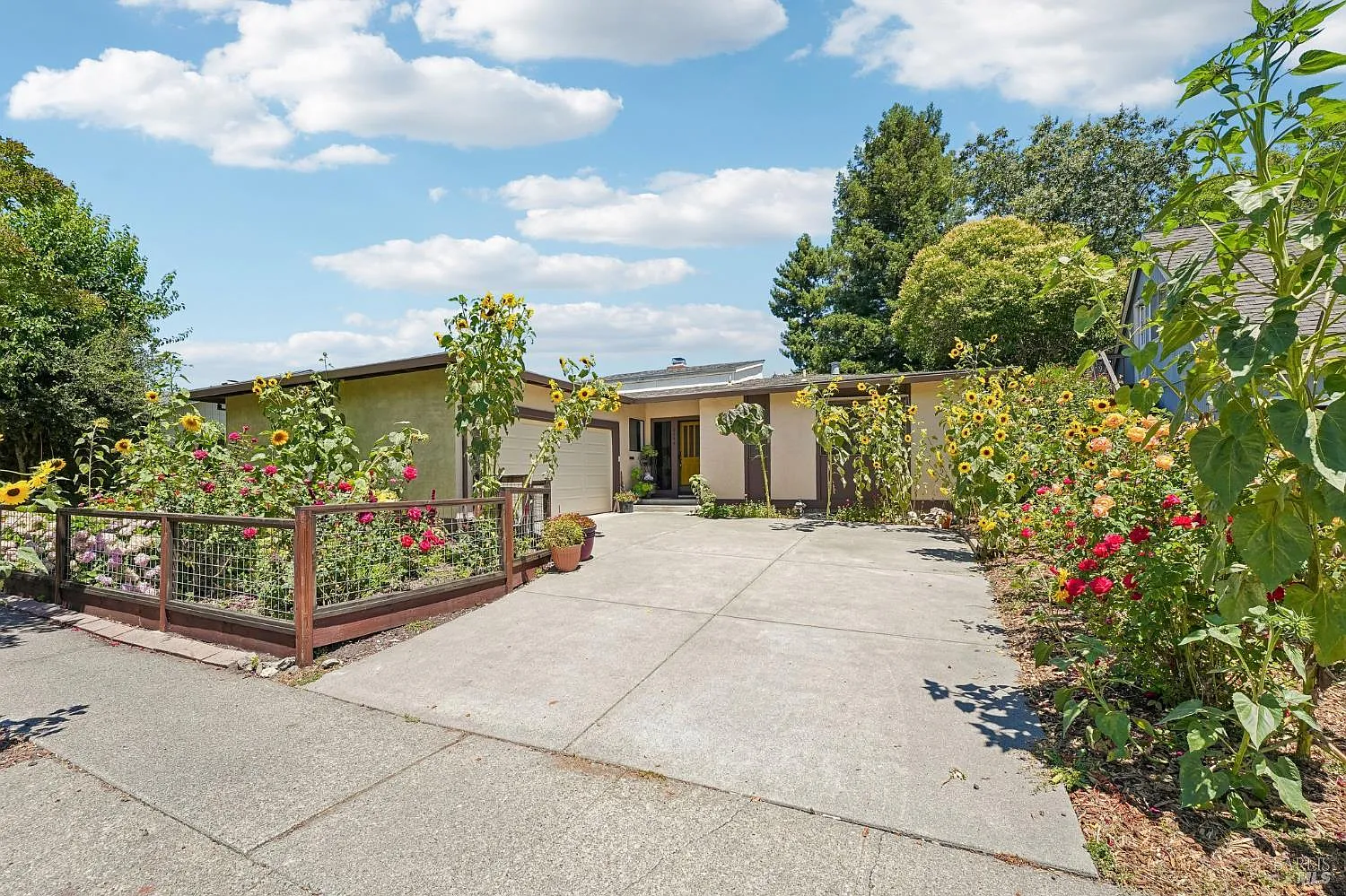 6644 Greenmeadow Drive - Photo 1