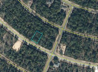 LOT 19 Shenandoah Blvd LOT 19, Chipley, FL 32428