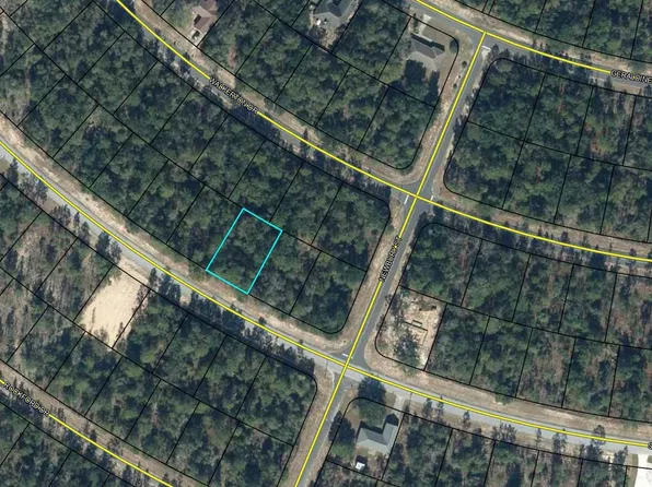 LOT 19 Shenandoah Blvd Lot 19, Chipley, FL 32428