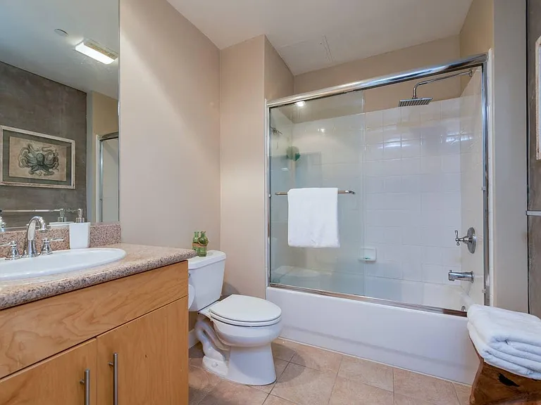 801 Ash St #1601 — Photo 18