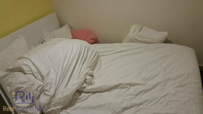 Rented by Rent Manhattan | media 18