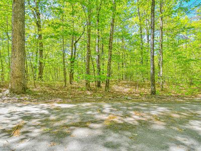 0 Forest Canopy Way, Clayton, GA, 30525