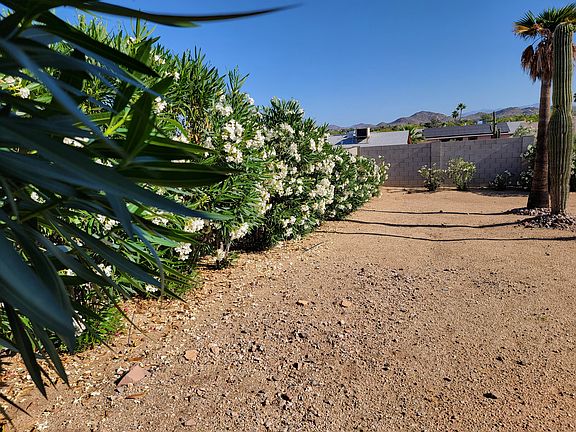 5th image of 1902 E Tierra Buena Ln