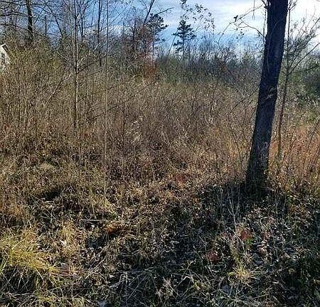 4th image of 43 Scenic Lakeview Dr Lot 43