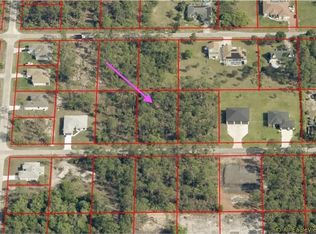 1016 Palmetto Ave, Lehigh Acres, FL 33972