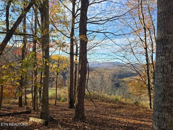 Trents Chapel Rd, Sneedville, TN 37869