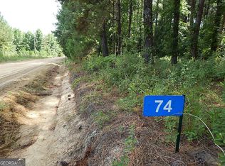 74 Mount Pleasant Church Rd, Pineview, GA 31071