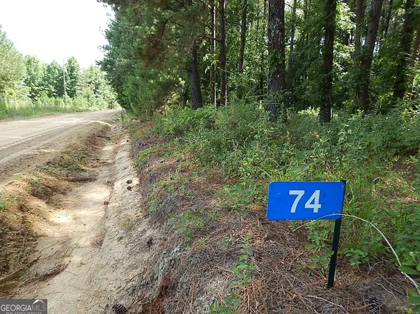 74 Mount Pleasant Church Rd, Pineview, GA 31071