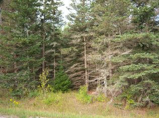 01 Coville Rd, Greenbush, MI 48738