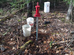 27694 S Raber Rd, Goetzville, MI 49736