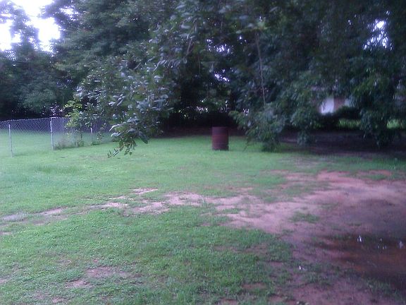 Back yard