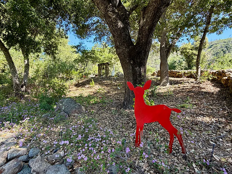 321 Dutch Henry Canyon Rd — Photo 35