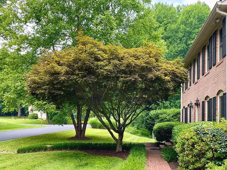 11002 Warwickshire Dr — Photo 49